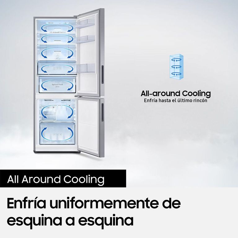 Samsung Refrigerador Bottom Mount 310L All Around Cooling